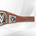 bray wyatt title belt