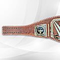 bray wyatt wwe championship belt