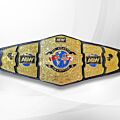 AEW All Atlantic Championship Belt