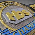 TBS Championship Belt