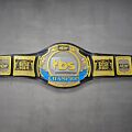 AEW TBS Championship Belt