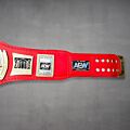 AEW TNT Championship Belt side plates