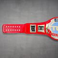 TNT Championship Belt
