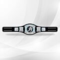 Spinner Championship Belt