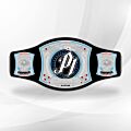 AJ Styles Spinner Championship Belt