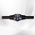 AJ Styles WWE Championship Belt Signature Series Replica back view