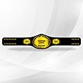 Custom Title Belt