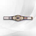 wwe fantasy football belt