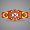 Boston Red Sox Belt