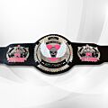 bret hart title belt