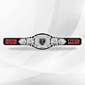 Brock Lesnar championship belt