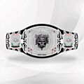 Brock Lesnar WWE Title