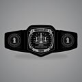 Chess Champion Belt
