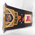 Cincinnati Bengals WWE belt left