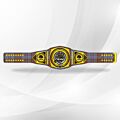 Anderson Clan Crest belt
