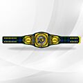 Clan Campbell Belt
