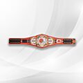 wwe legacy belt