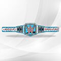 CM Punk Belt