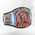 CM Punk Belt