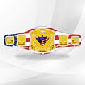 wwe spinner championship