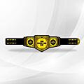 customizable wwe belt