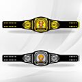 Custom Fantasy Belts