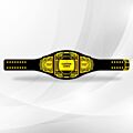Custom Title Belt