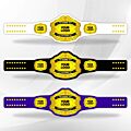 Customizable Championship belt