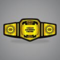 Custom Championship Belt 