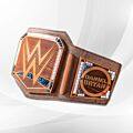 wwe eco title