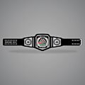 Dart Champion Belt