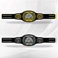 Dart custom made championship belt