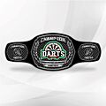 dart champion belt silver plated