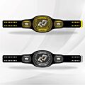 dominoes champion belt