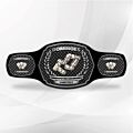 Dominoes fantasy championship belt