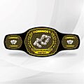 Dominoes Championship Belt