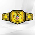 Fantasy Football Champion Belt