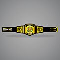 Football Fantasy Belt