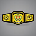 Fantasy Football Title Belt