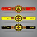 Hulk Hogan Belt