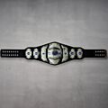 impact wrestling belts