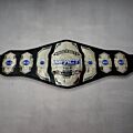 Impact Championship Belt