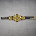 WWE Intercontinental Championship