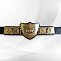 IWGP Heavyweight Title Championship Replica full view