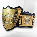 IWGP Championship Belt