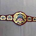 iwgp heavyweight championship