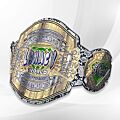 jcw belt