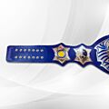 jeff hardy immortal championship