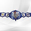 jeff hardy title belt