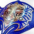 jeff hardy tna championship belt